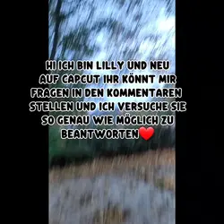 Vorstellung 