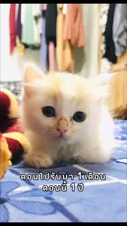 ตอนไปรับมากับตอนนี้