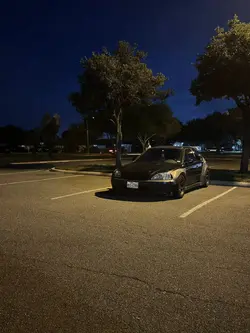 Spinosaur edit cutou