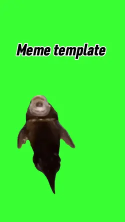 Fish singing même