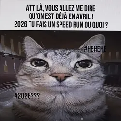 Tfk 2026 ???