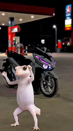 ឡូយហ្មង » 😂😹
