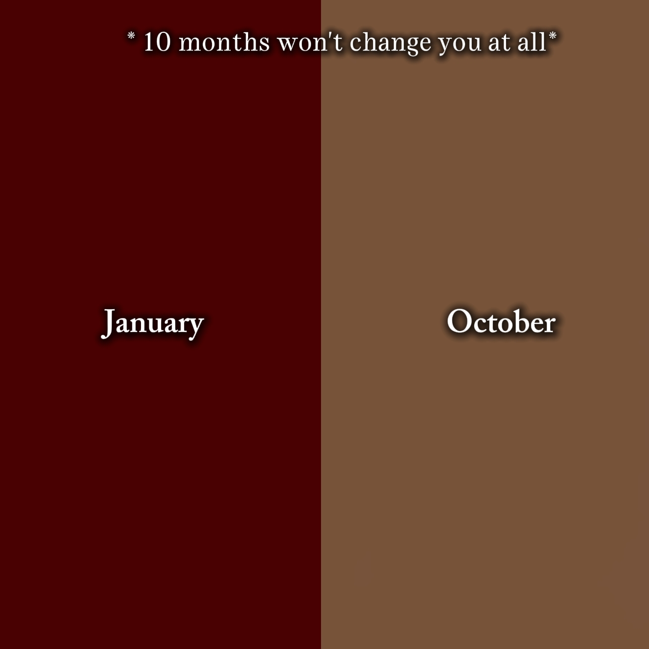 10 months