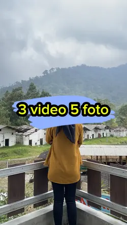 3 video 5 foto