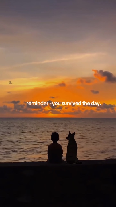 Citações de motivação 🏆