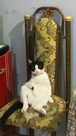 Gwenchana Anak Kecil