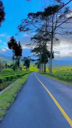 3 video filter cerah