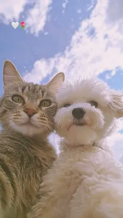 น่ารักๆกับแฟน