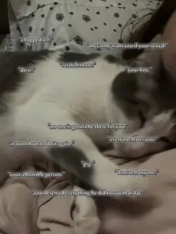 layout scks but wtv.