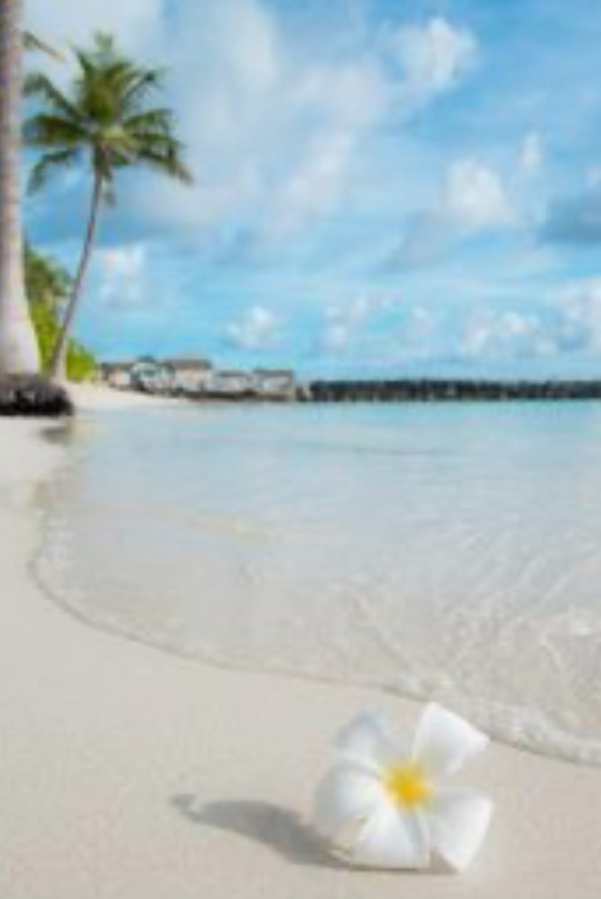 EURO系テンプレート💃