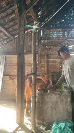 Usaha dan do'a