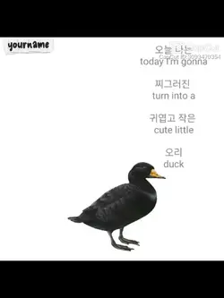 tiktok viral 