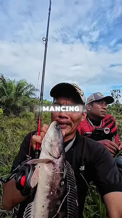 diantaraku dan toman