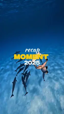 travel moment 2025