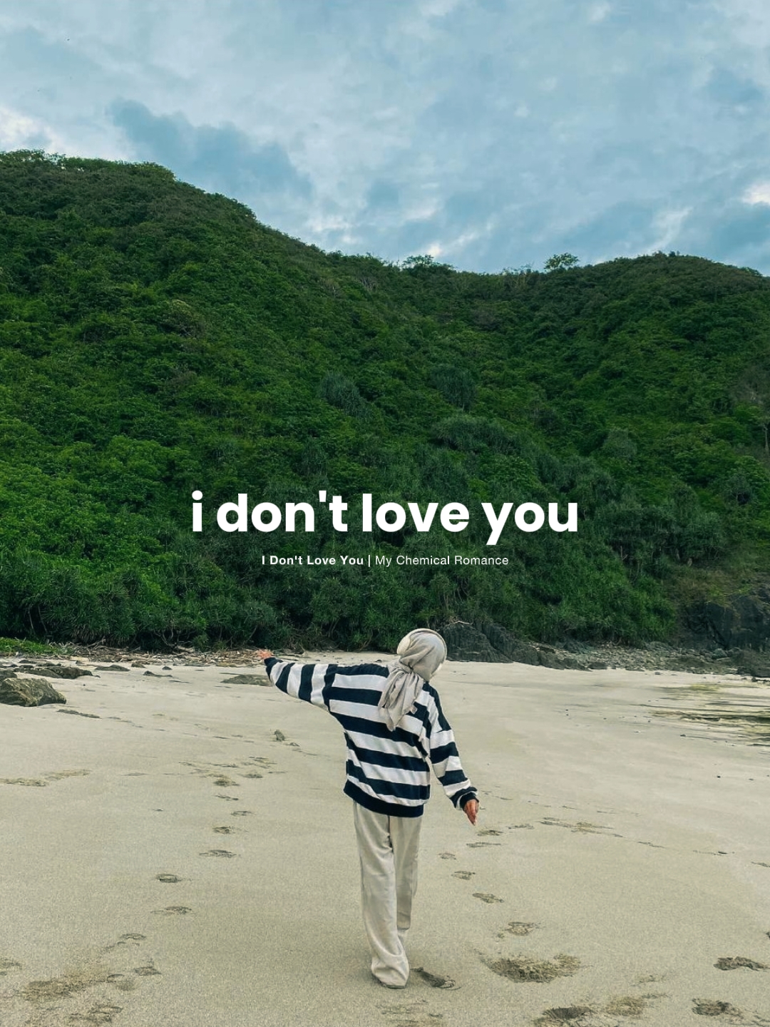 I Don't Love You