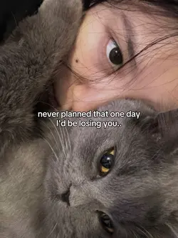 in another life