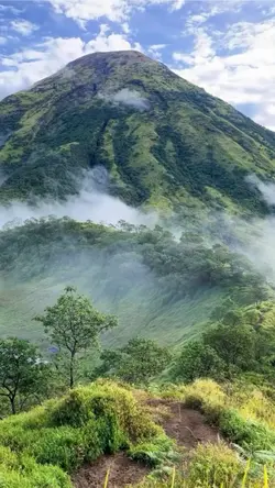 Alam Indonesia