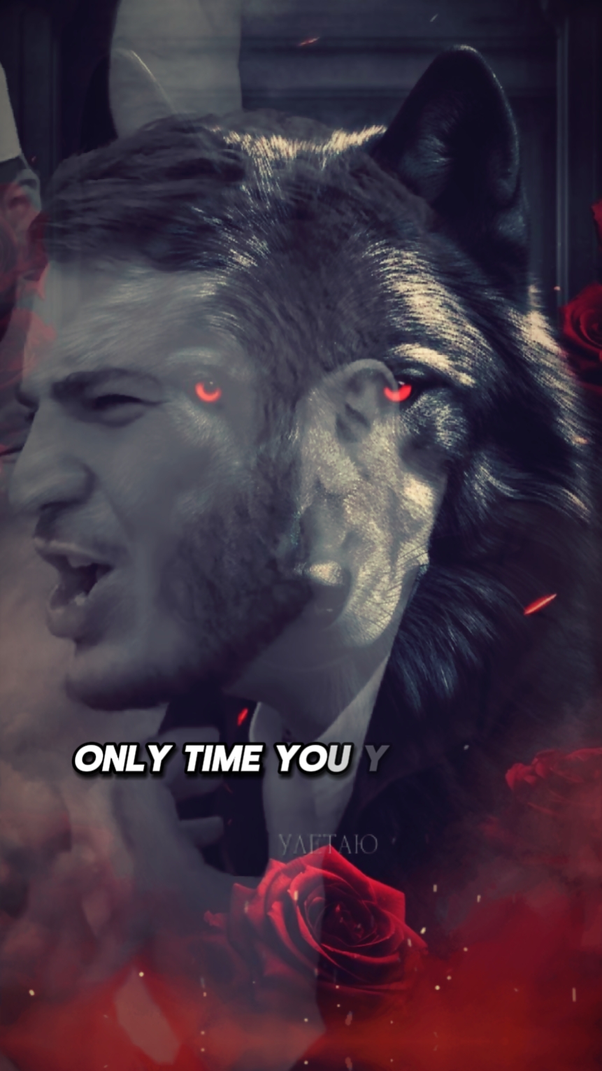 RK.WOLF