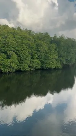 บ้านเรา