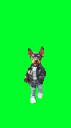 Puppy Dancing
