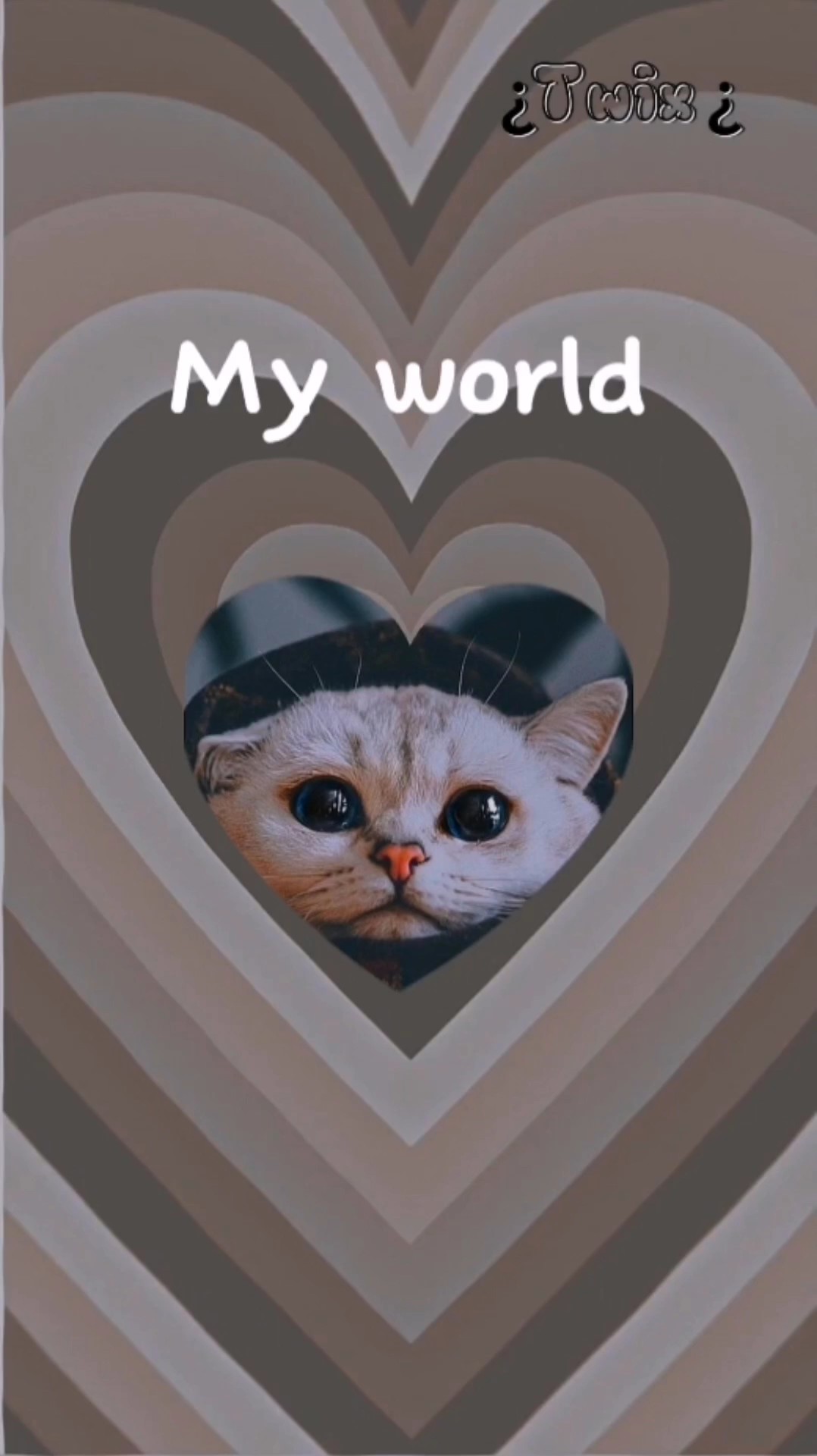 my world edit