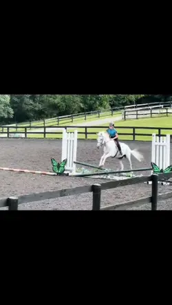 Shan&Louie_eq edit!!