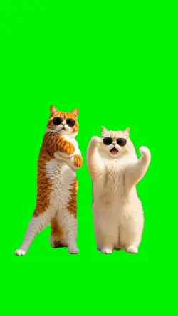 HAPPY DANCING CATS
