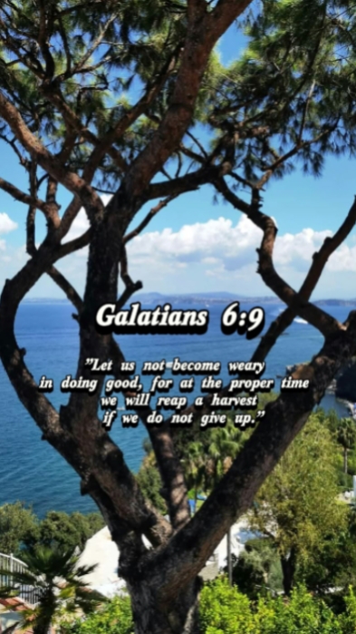 Gálatas 6: 9