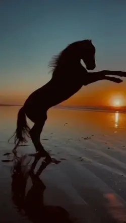 Galloping horse