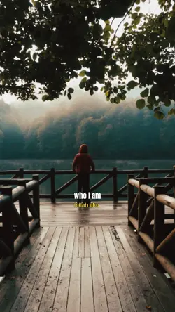 who I am alan walker