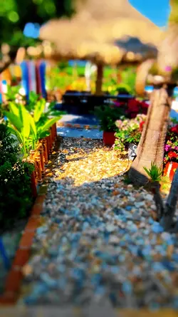 Video Tilt-Shift #2