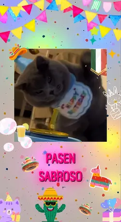 Feliz cumple sep ✨🥳