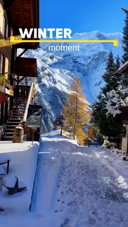 WINTER MOMENT