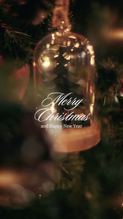 Christmas & New Year
