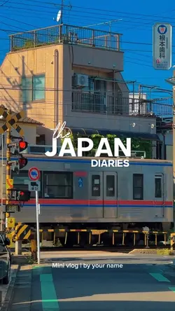 The japan diaries