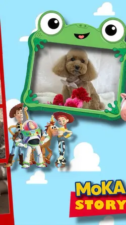 ToY story slideshow