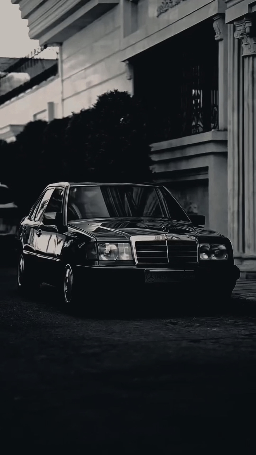 MAMMO [CAR]