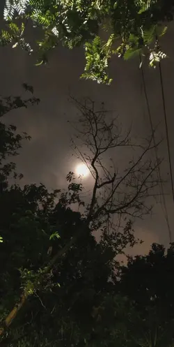 moon