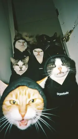 Gangsta. 