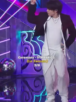 FANCAM