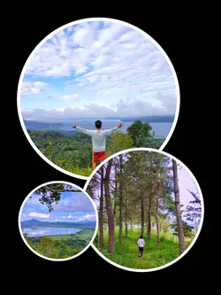 Frame/Grid Aesthetic