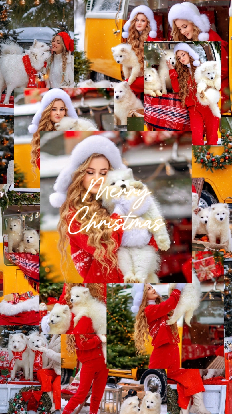 Evcil hayvanlarla Noel