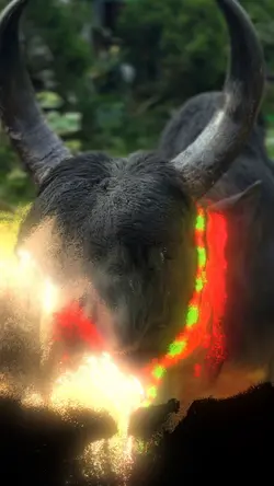 วิถีวัวชน