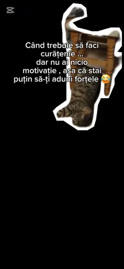 Fără motivație