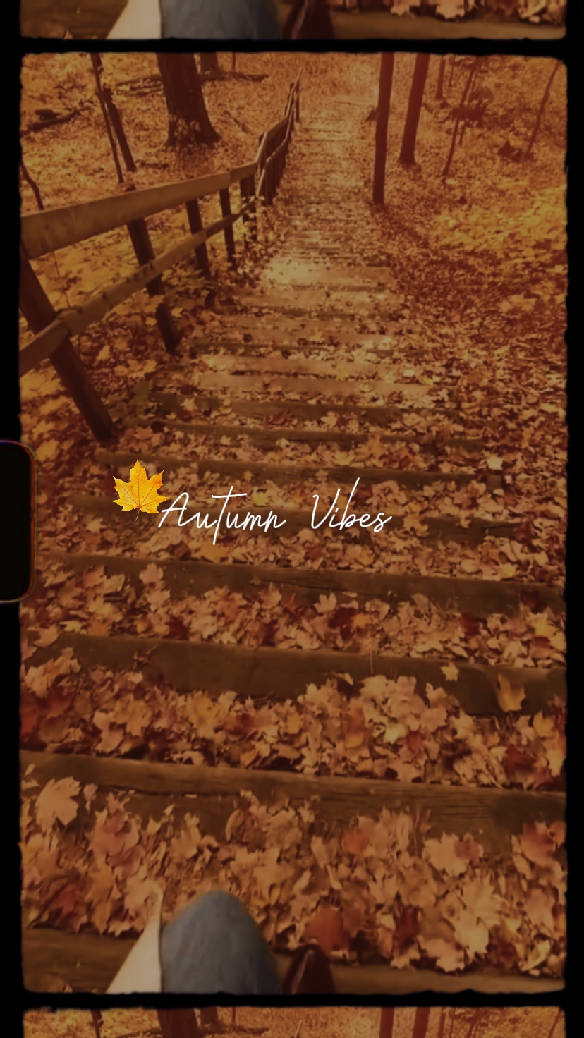 Autumn vibes