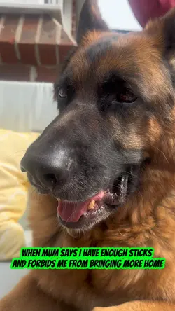 Sticks are life