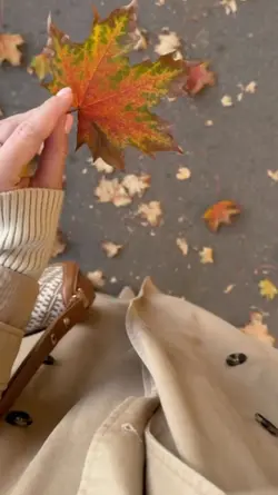 autumn 
