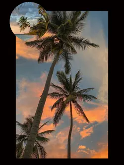 sound viral