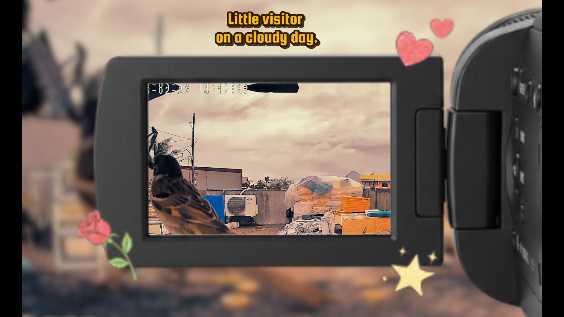 Cover Picture