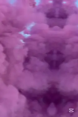 होली